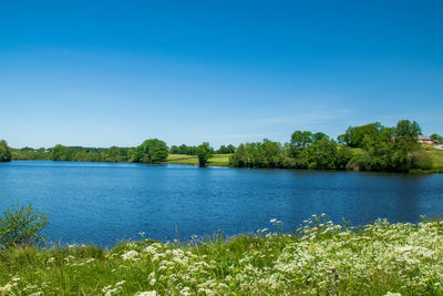 Scenic view of lake against clear blue sky