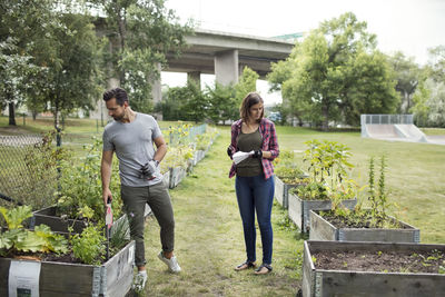 Full length of mid adult couple examining plants in urban garden