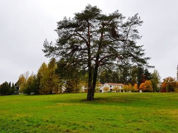 Trees on field by house against sky