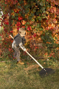 Boy standing by plants during autumn