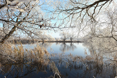 Reflection of trees in lake against sky