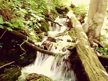 Waterfall in forest