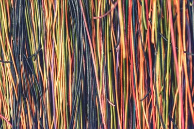 Full frame shot of multi colored background
