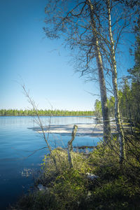 Scenic view of lake against clear blue sky