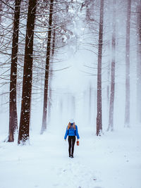 Rear view of woman standing on snow covered field