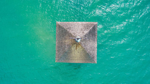 High angle view of starfish on swimming pool