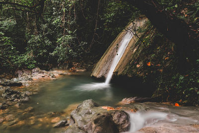 Scenic view of waterfall in forest