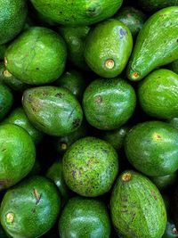 Full frame shot of fresh fruit