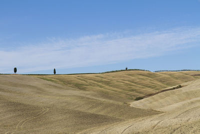 Scenic view of field against blue sky