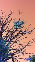 Low angle view of bare trees against sky