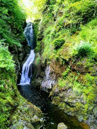 Scenic view of waterfall in forest