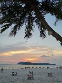 People on beach against sky during sunset