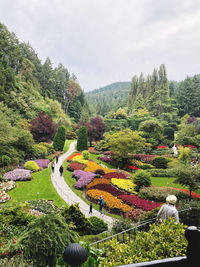 High angle view of trees and mountains against sky