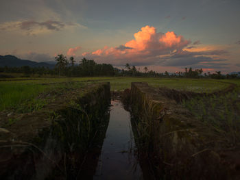 Scenic view of field against sky during sunset