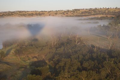 High angle view of trees on landscape against sky