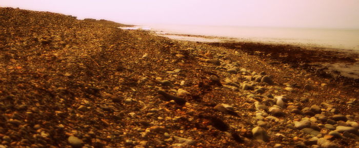 Surface level of sandy beach against clear sky