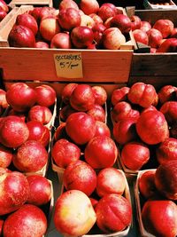 Close-up of fruits for sale