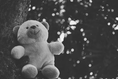 Low angle view of teddy bear on tree