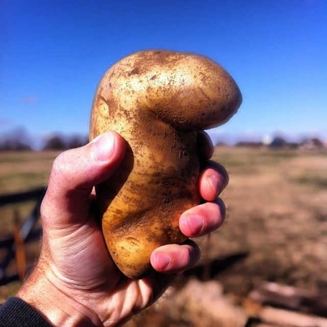 person, holding, part of, focus on foreground, close-up, cropped, human finger, clear sky, personal perspective, unrecognizable person, food and drink, sky, day, outdoors, selective focus, lifestyles, blue