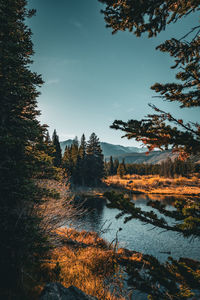 Scenic view of lake against sky at night