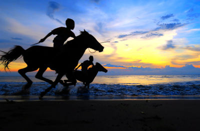 Silhouette boys riding horses in sea against sky