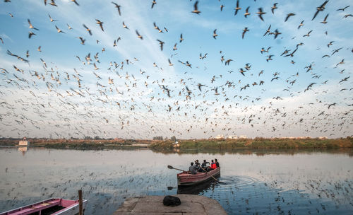 Flock of birds over river against sky