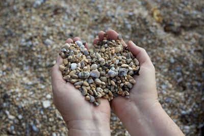 Close-up of person holding pebbles at beach