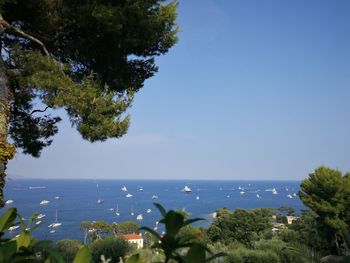 Scenic view of sea against clear sky