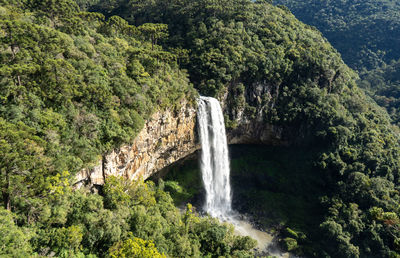 Scenic view of waterfall in forest