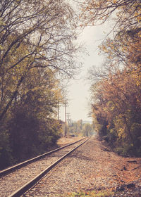 Railroad tracks amidst trees against clear sky