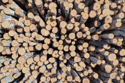 Full frame shot of logs in forest