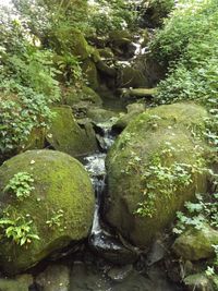 Stream flowing through rocks