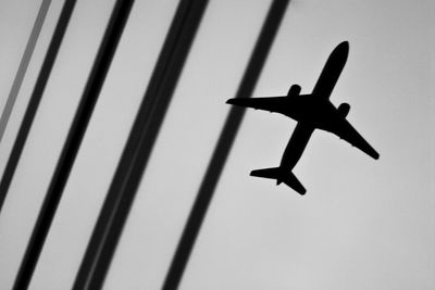 Low angle view of bird flying in sky