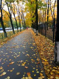 Autumn leaves on footpath in park