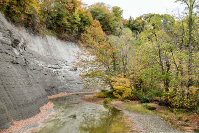 Scenic view of river amidst trees during autumn