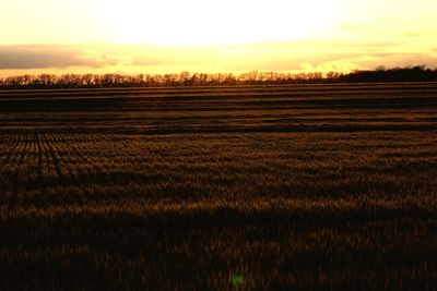 Scenic view of field against sky during sunset