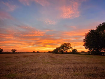 Scenic view of field against sky during sunset