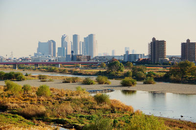 View of the riverbed of the tama river in tokyo, japan