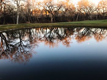 Reflection of trees in lake against sky