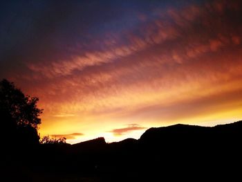 Silhouette of trees against dramatic sky
