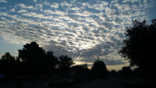 Silhouette trees by road against sky during sunset