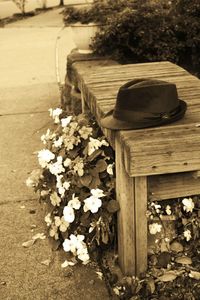 Bench on chair