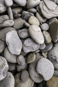 pebble