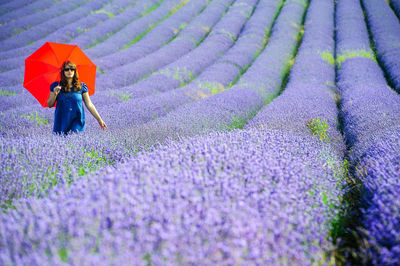 Girl with red umbrella walking in lavendar field 