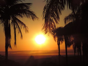 Silhouette palm trees against sea during sunset