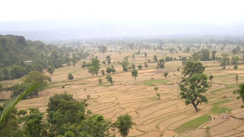 High angle view of agricultural field against clear sky