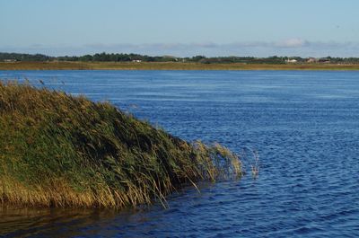 Scenic view of lake against clear sky