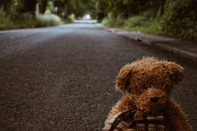Old teddy bear sitting in road