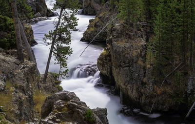 Scenic view of waterfall in forest