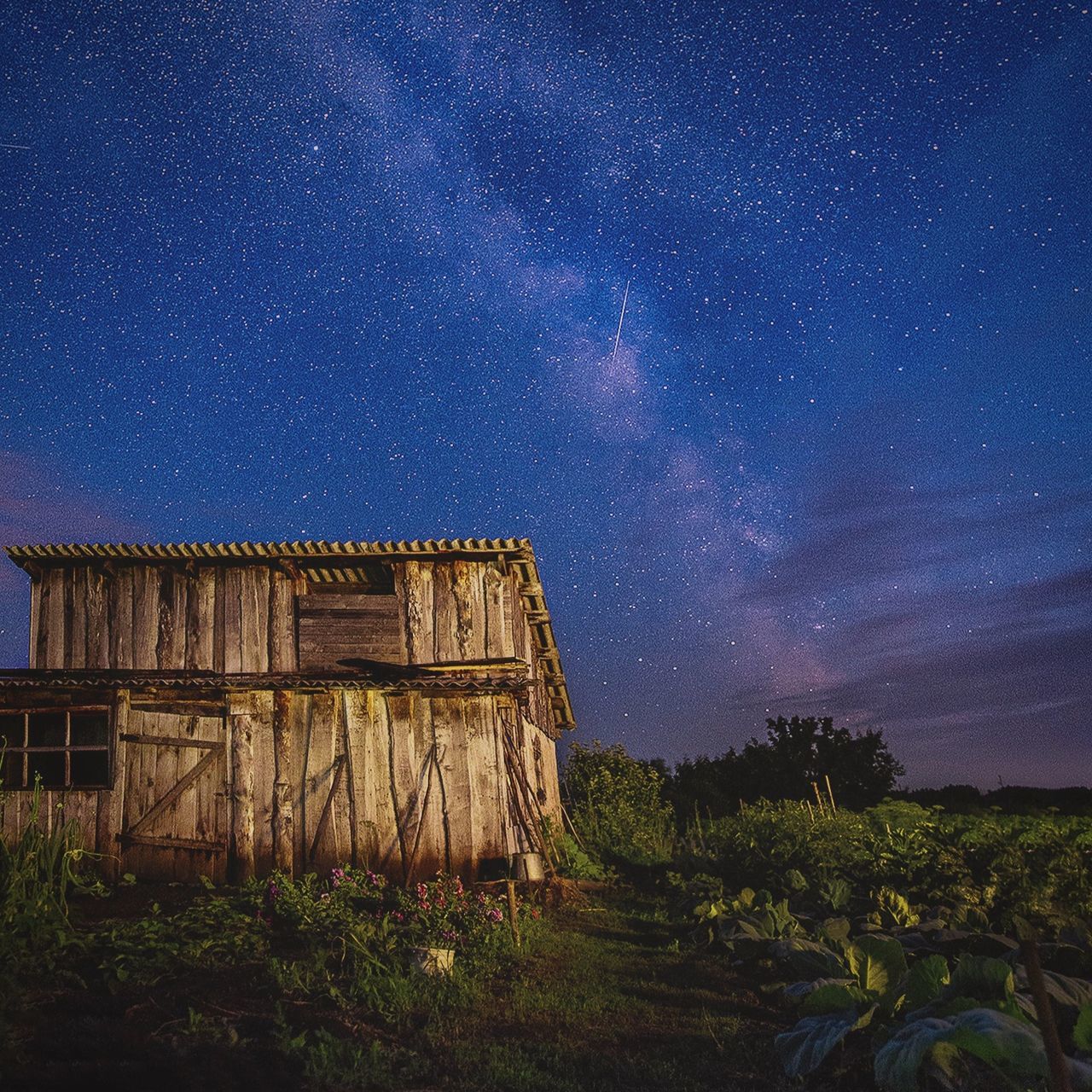 night, star - space, sky, built structure, architecture, scenics - nature, astronomy, nature, building exterior, star, space, plant, galaxy, no people, beauty in nature, star field, land, field, landscape, constellation, outdoors, milky way, space and astronomy